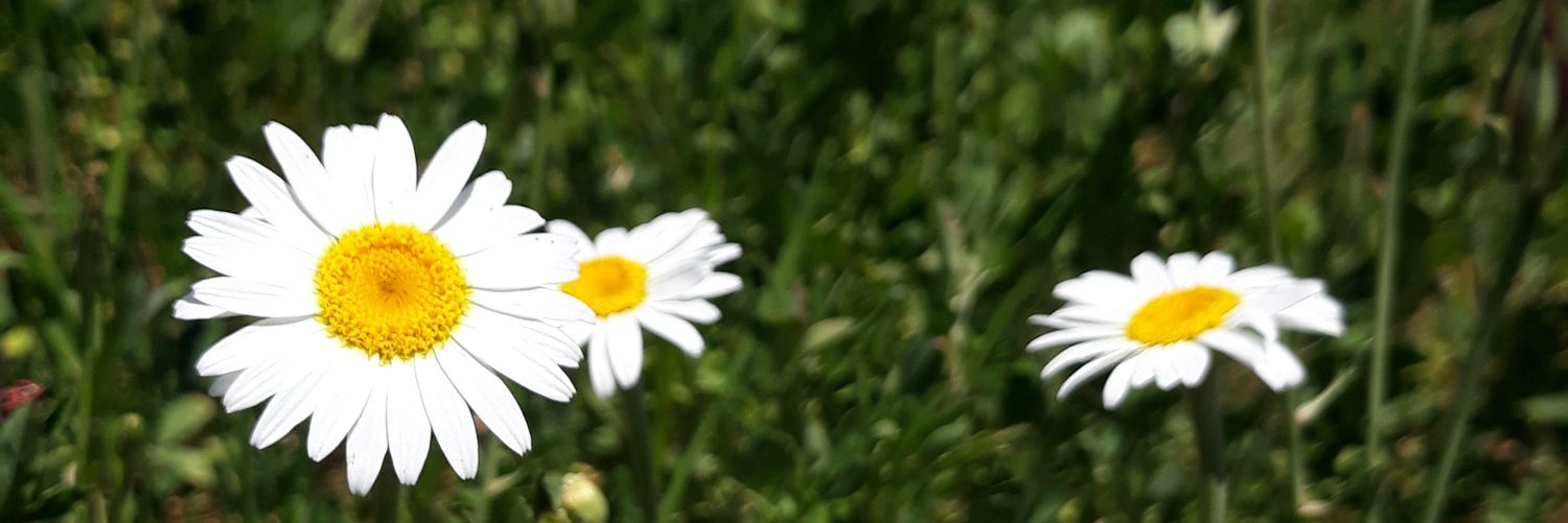 Svrnnn's profile banner image