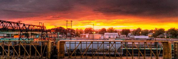 toflann2 Profile Banner