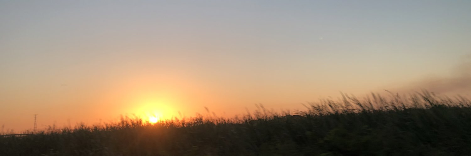 bianquichi's profile banner image