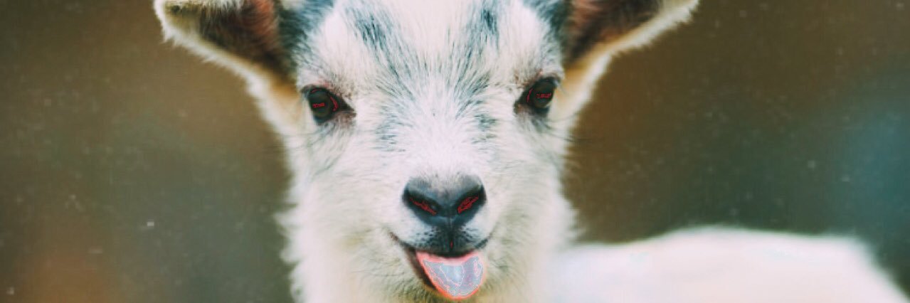 Real Spill Goat banner