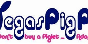 VegasPigPets's profile banner image