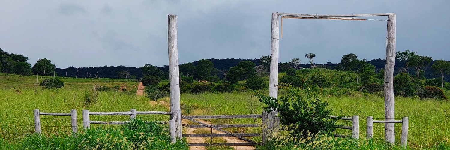 leonardotls's profile banner image