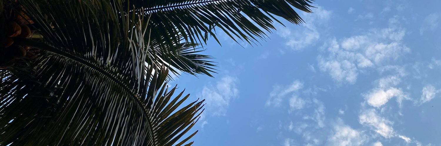 dee_gonzy's profile banner image