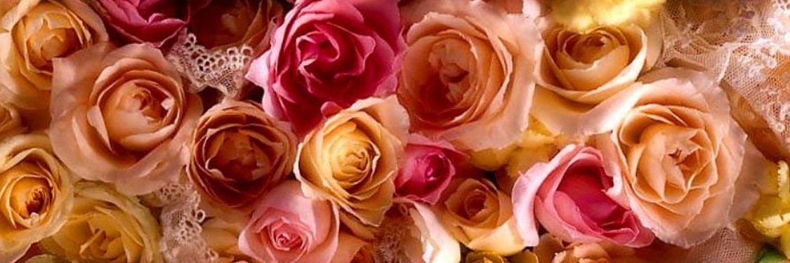 Mrs_NakiMac's profile banner image