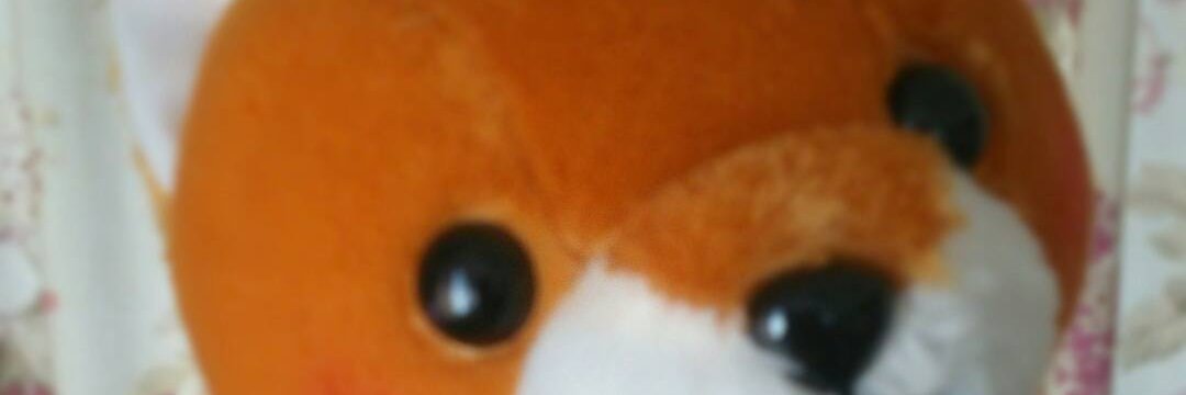 dandelionjp211's profile banner image