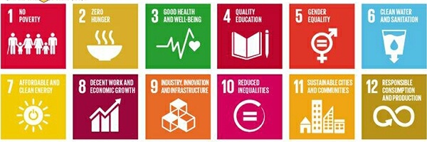 Simukaupenye Zim banner