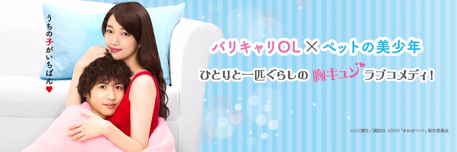 【公式】きみはペット banner