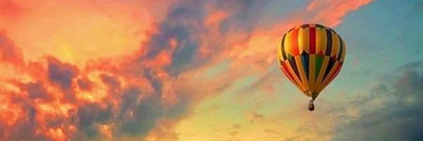 Terry S banner