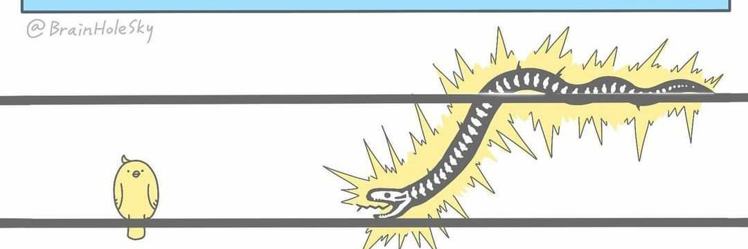 RidRMCF1334's profile banner image