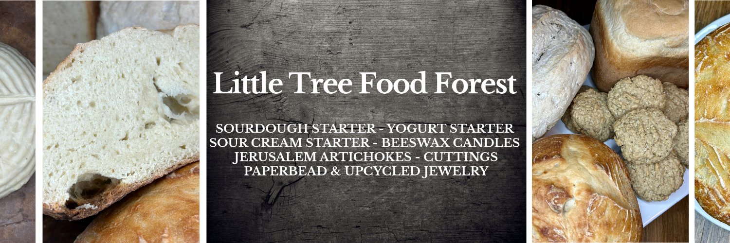 Little Tree Food Forest (& Publications) banner