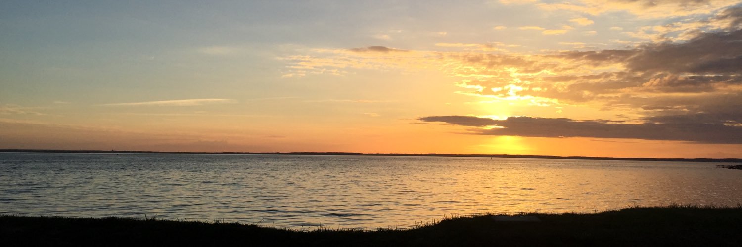 Katrine Schjoldager banner