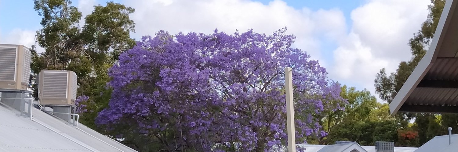 六必居酱瓜瓜 banner