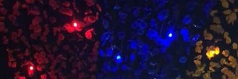 CDENOBRE's profile banner image