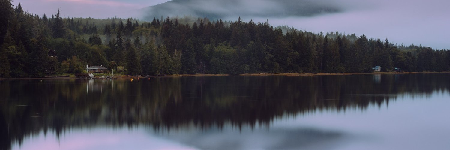 fortica's profile banner image