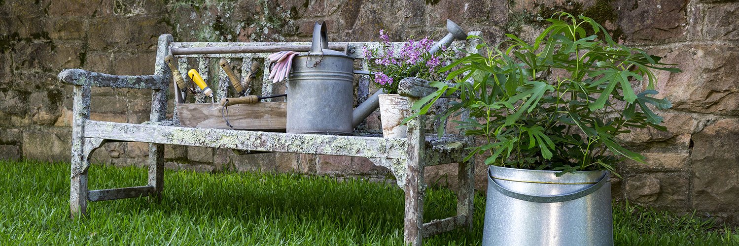 SouthernLivingPlants banner