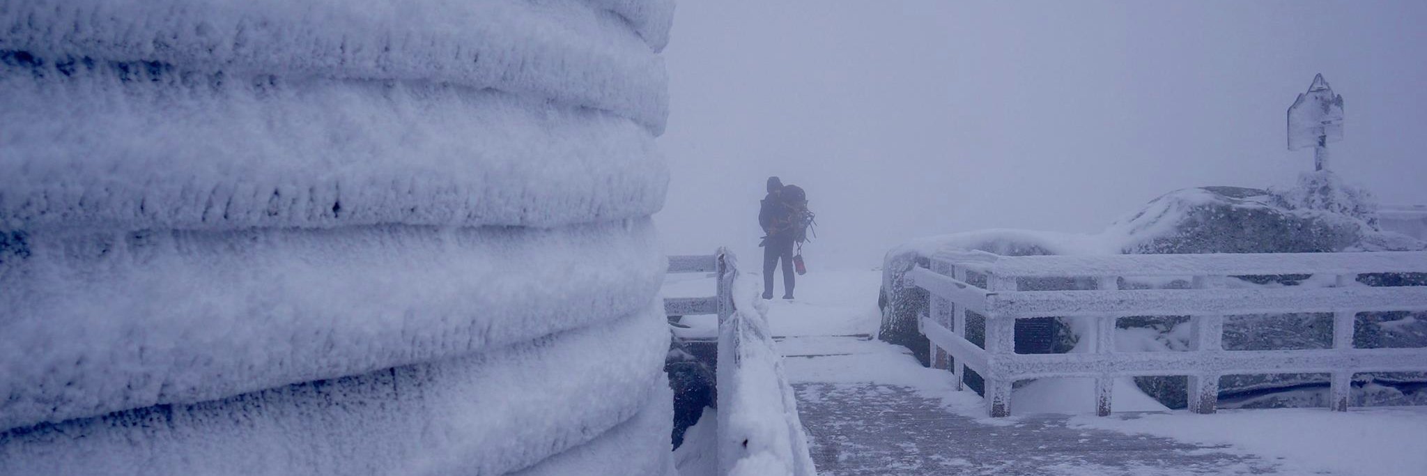 Thomas Hargreaves banner