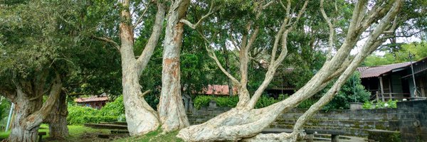 andreherca Profile Banner