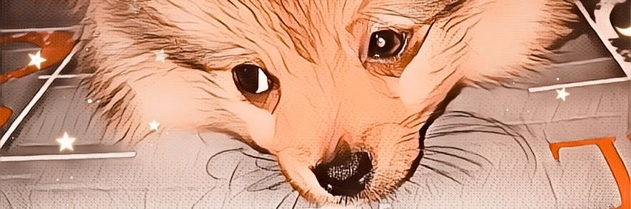 ✡️Sevda☄️ banner