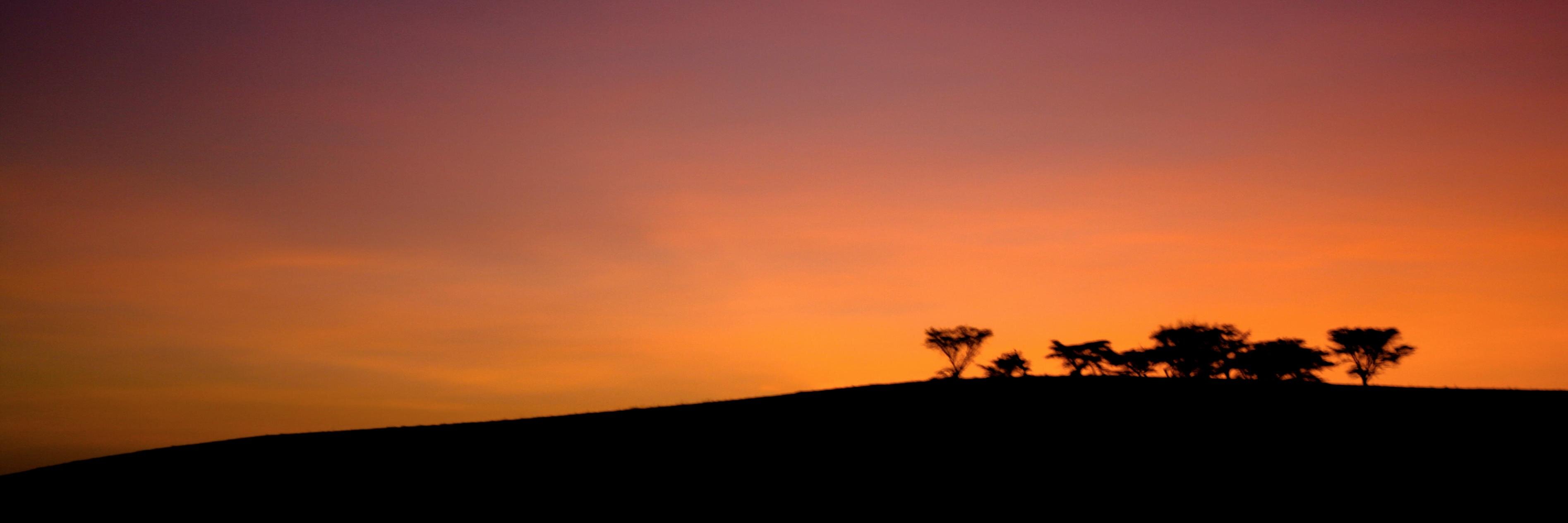 Coclav's profile banner image