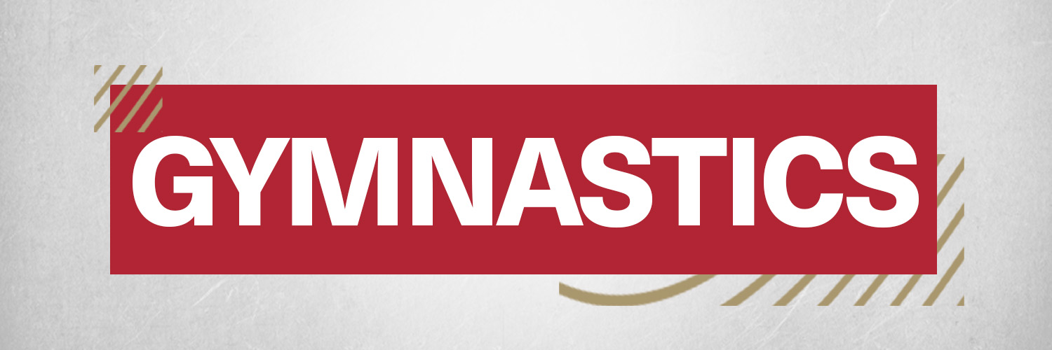 DU_Gymnastics's profile banner image