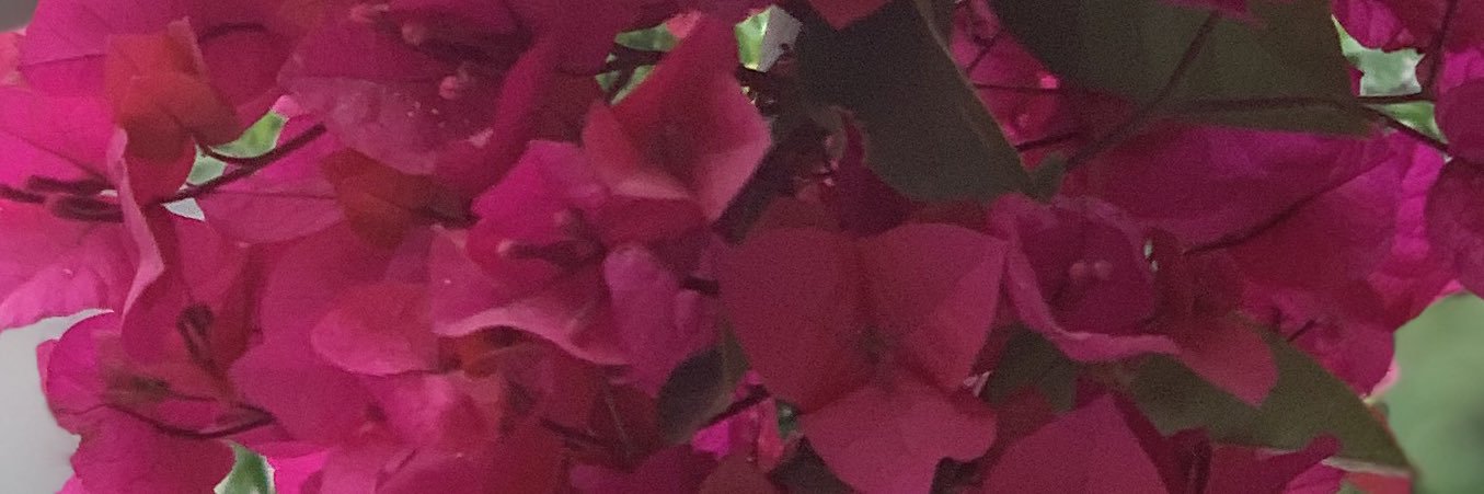 qnfeth's profile banner image