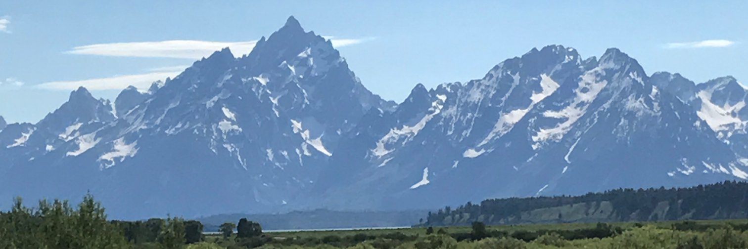 wilkinson202e's profile banner image