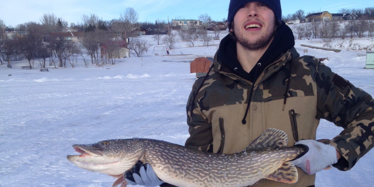 Dyson Stevenson banner