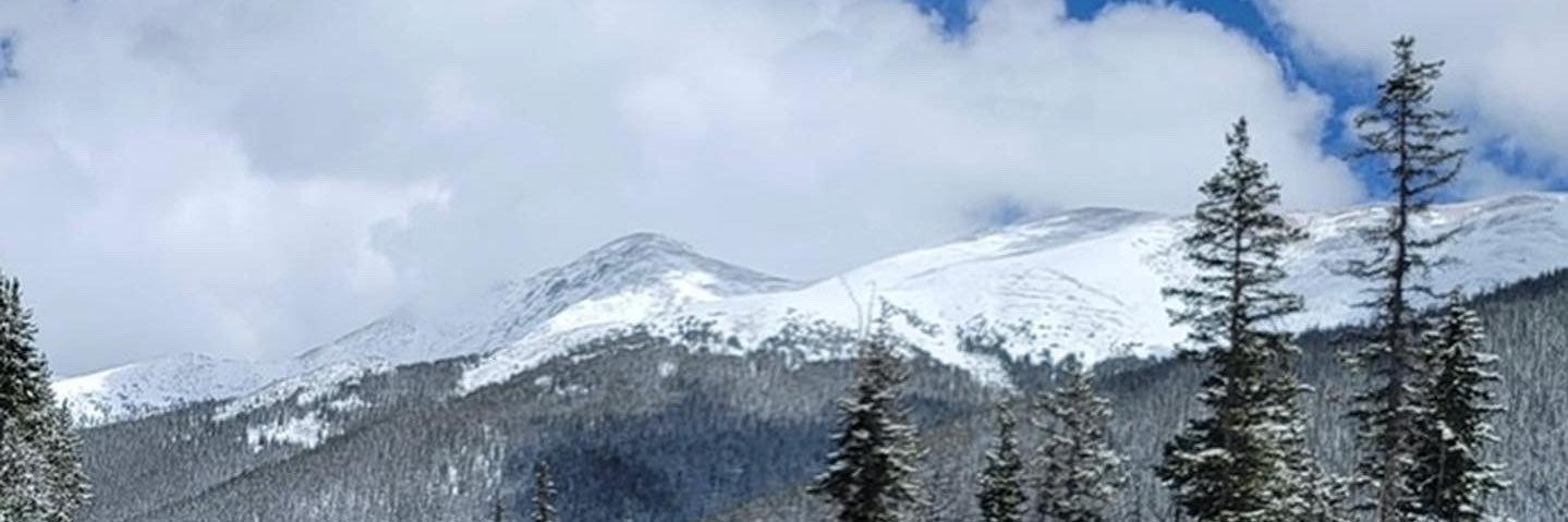 Amanda Roades banner