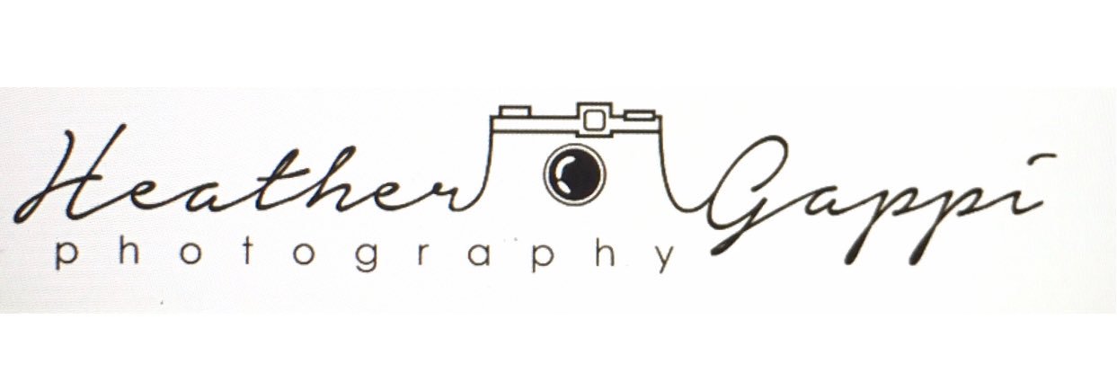 HeatherGappi's profile banner image