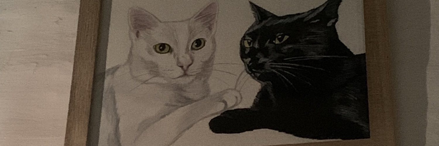 sofidelark's profile banner image