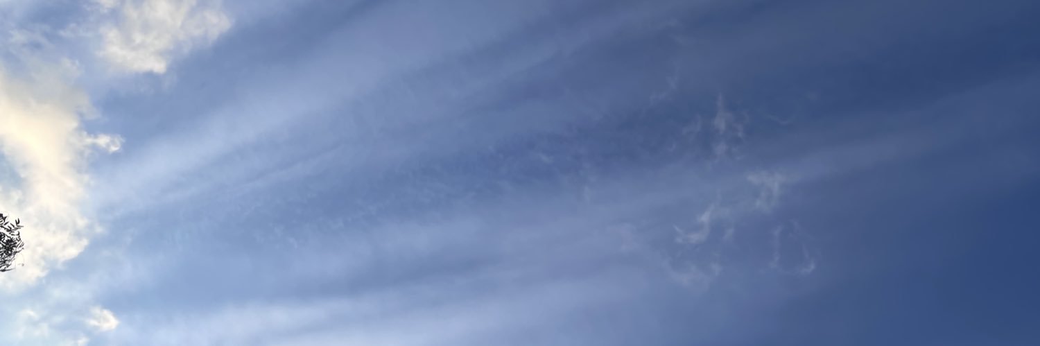 Naky Soto 🍃 banner