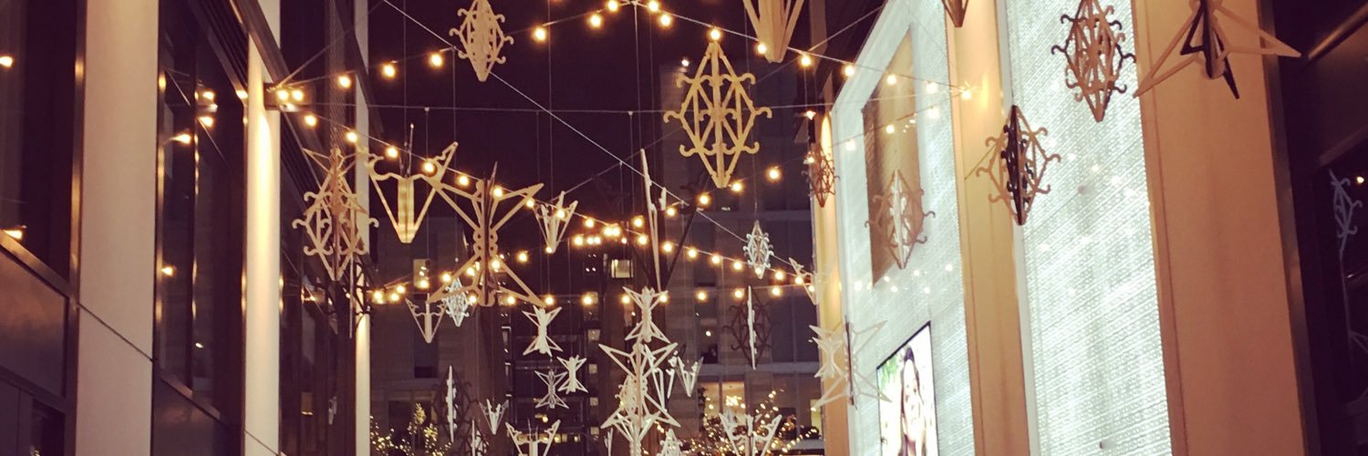 Ashley Snider banner