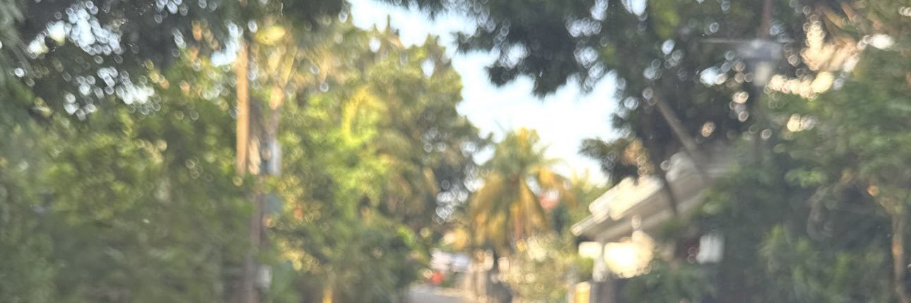 happymlies's profile banner image