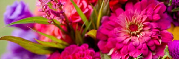 tiffjeanne's profile banner image