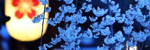 explicit_lyric's profile banner image