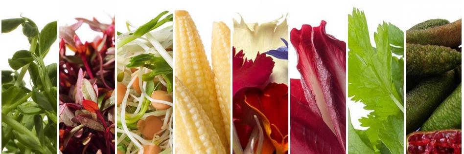 flowerdalefarm's profile banner image