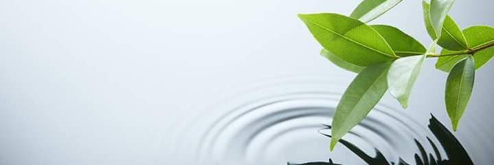 cmasukhada's profile banner image