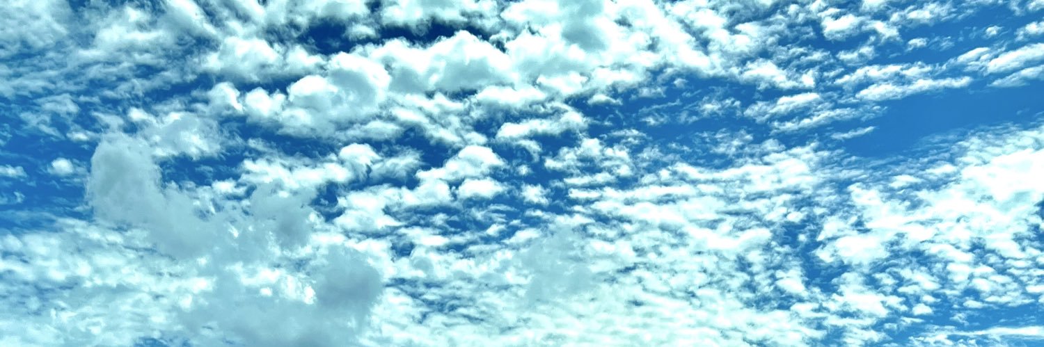pyapss's profile banner image