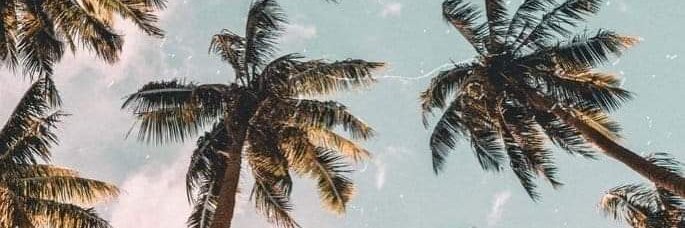 raqelscrf's profile banner image