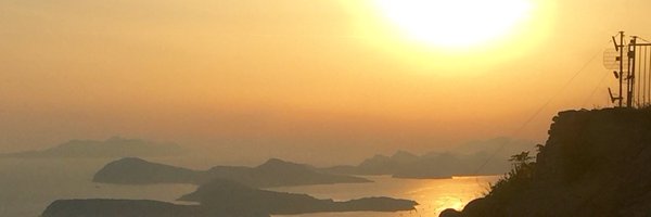 drjaninedavid Profile Banner