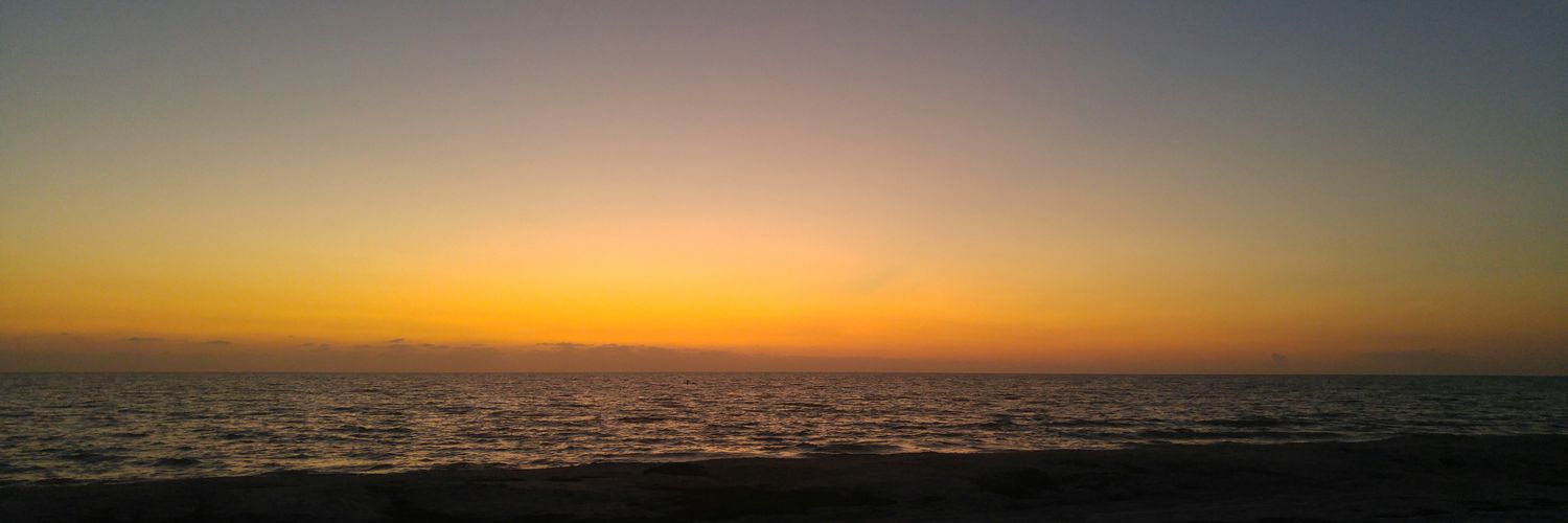 Liz_Bernstein18's profile banner image