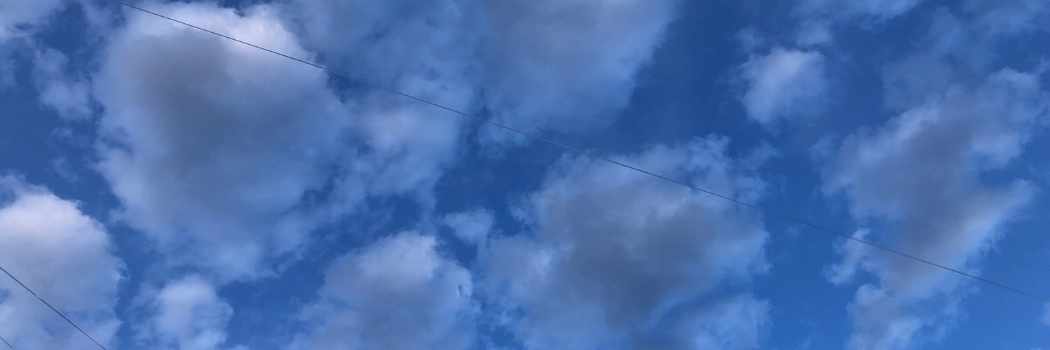 Edgloris Marys banner