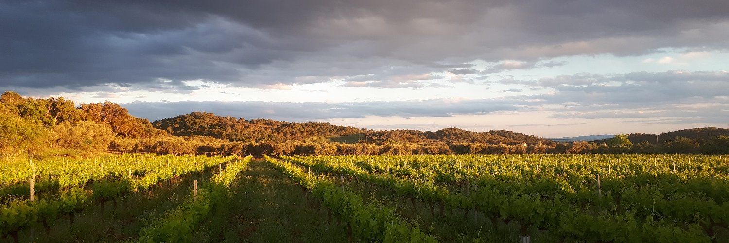 Celler Espolla banner