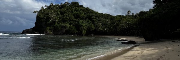 PhilipFYang Profile Banner