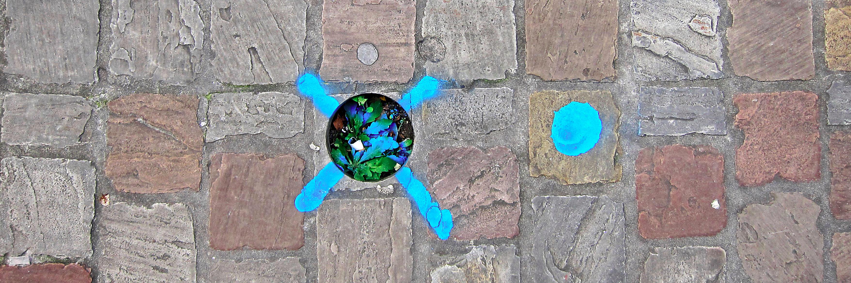 David Helbich banner