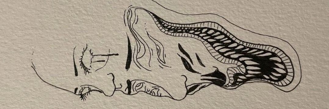 gamzekber's profile banner image