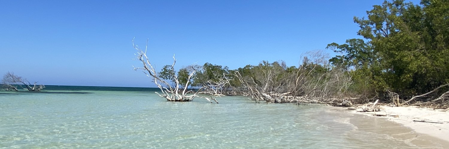 simple travailleur de l’aéro sous capitole LFI banner