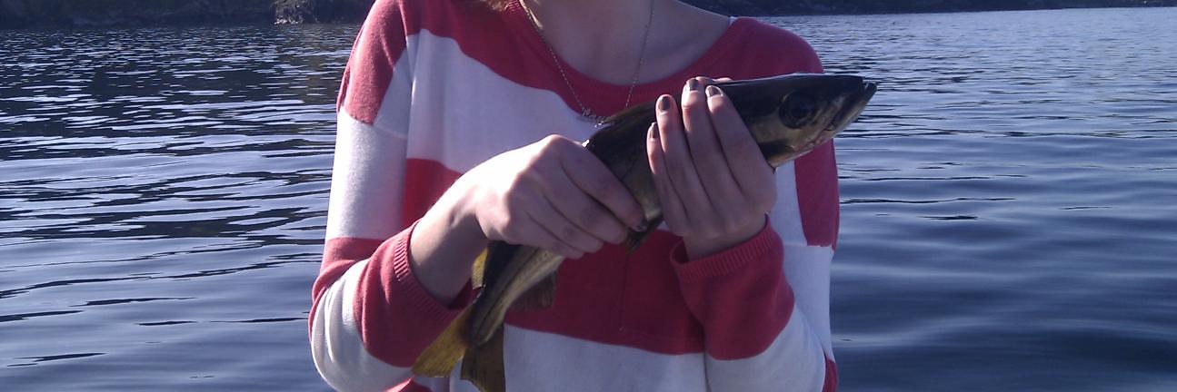 SeaAnglers1's profile banner image
