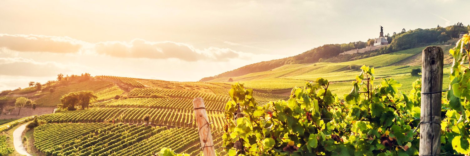 ebrosia Wein-Versand banner