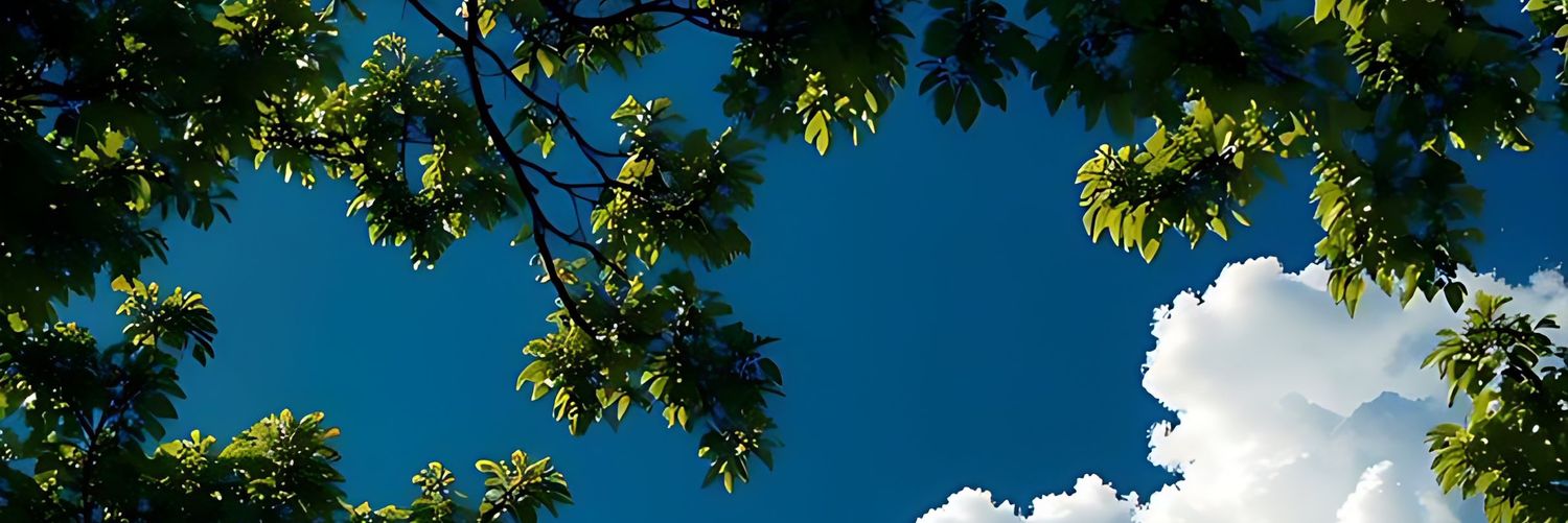 Ariam banner